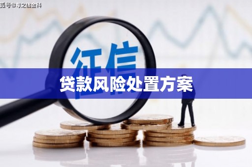 双清贷款风险处置方案