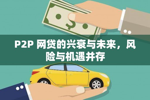 双清P2P 网贷的兴衰与未来，风险与机遇并存