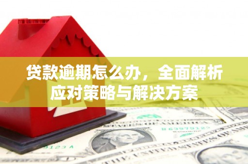 双清贷款逾期怎么办，全面解析应对策略与解决方案