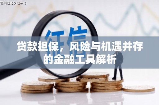 双清贷款担保，风险与机遇并存的金融工具解析