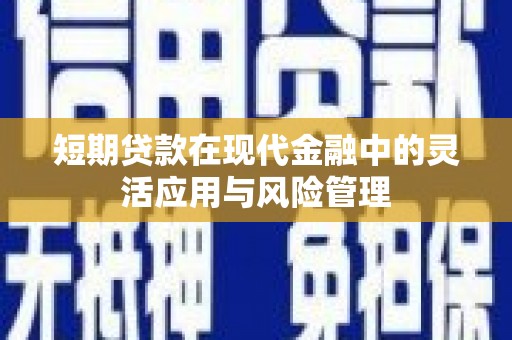 双清短期贷款在现代金融中的灵活应用与风险管理