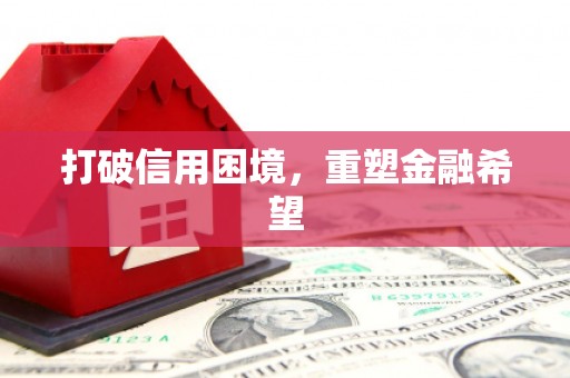 双清打破信用困境，重塑金融希望