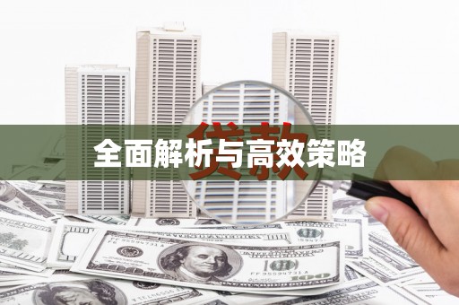 双清全面解析与高效策略