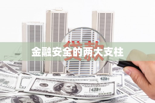 双清金融安全的两大支柱