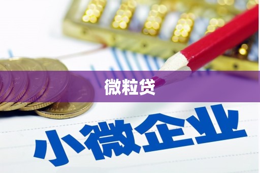 双清微粒贷