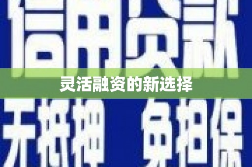 双清灵活融资的新选择