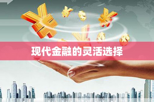 双清现代金融的灵活选择