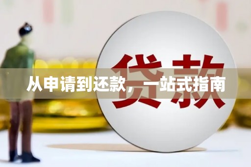 双清从申请到还款，一站式指南