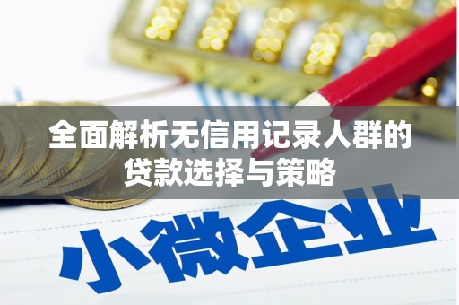 双清全面解析无信用记录人群的贷款选择与策略