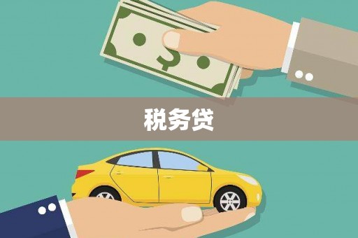 双清税务贷
