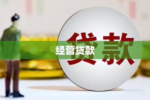 双清经营贷款