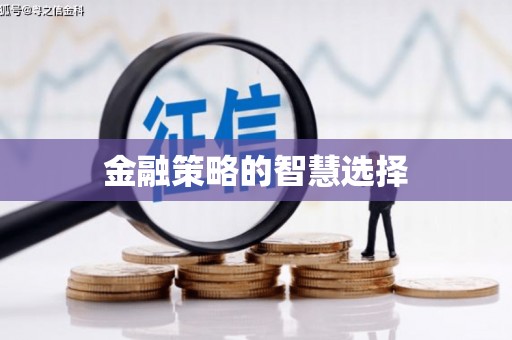 双清金融策略的智慧选择
