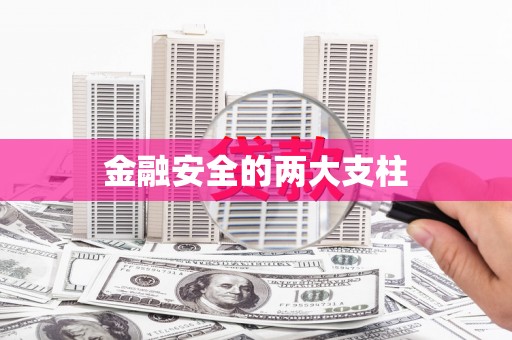 双清金融安全的两大支柱