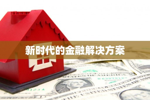 双清新时代的金融解决方案