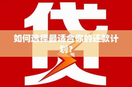 双清如何选择最适合你的还款计划？