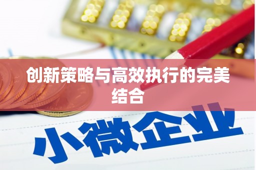 双清创新策略与高效执行的完美结合