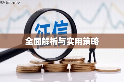 双清全面解析与实用策略