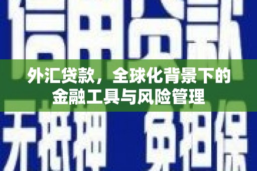 双清外汇贷款，全球化背景下的金融工具与风险管理