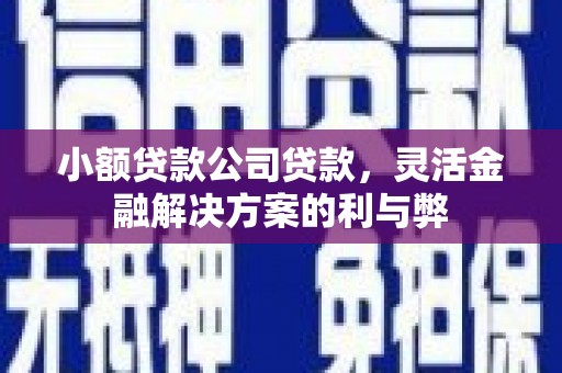 双清小额贷款公司贷款，灵活金融解决方案的利与弊