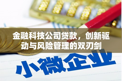 双清金融科技公司贷款，创新驱动与风险管理的双刃剑